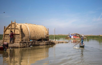 الجفاف غيّر نمط حياتهم وأضاع مستقبلهم.. أكثر من 10 آلاف أسرة تغادر أهوار ذي قار بحثاً عن الماء والعمل!