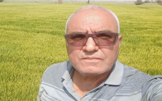 سُبُل المكافحة المتكاملة لـ{لفحة الغمد} في الرز.. مرض فطري يهدد الإنتاج 